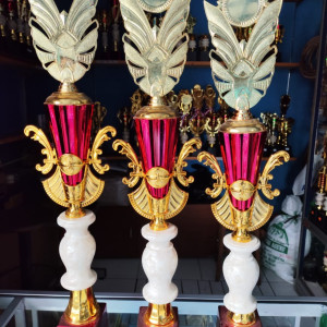 SET PIALA JUARA
