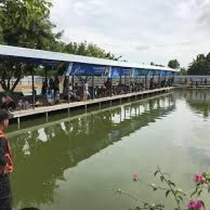 Persewaan Kolam Pemancingan