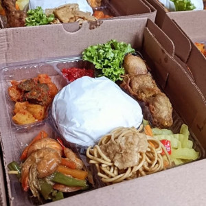 nasi box premium B