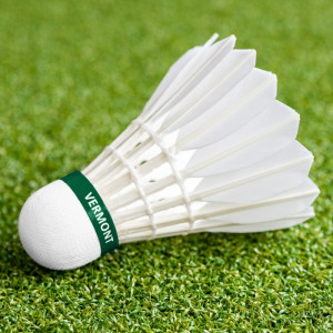 Shuttlecock