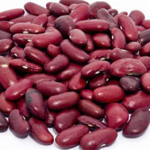 Kacang Merah