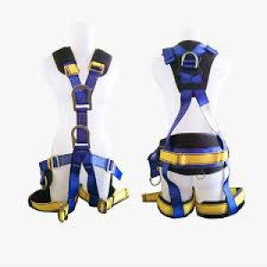 Full body harness