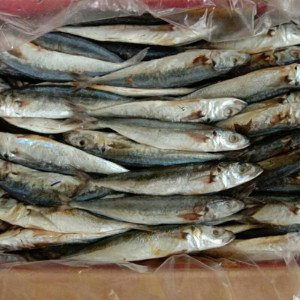 Ikan kering Peda
