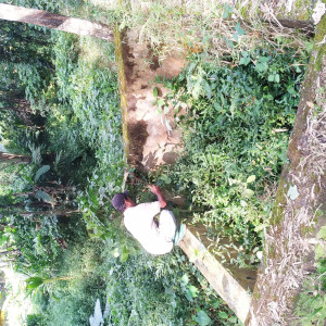 Jasa Petugas Kebersihan