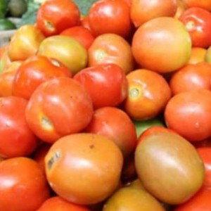 Tomat Merah Segar