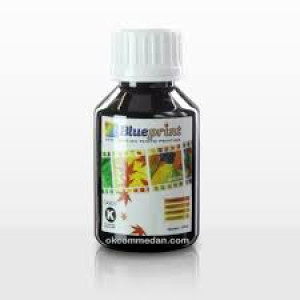 Tinta blueprint Canon black