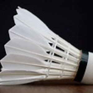 shuttlekok merek meidy