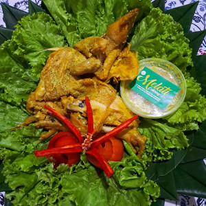 INGKUNG AYAM KAMPUNG JAGO
