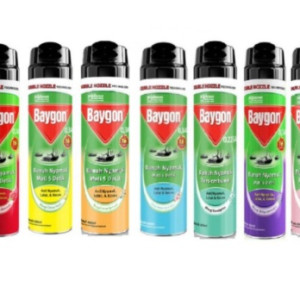 Baygon Spray