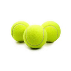 Bola Tenis  Dunlop Fort All Court Tennis Ball [4 Bola]