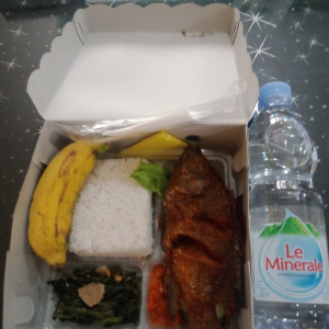 Nasi BOX Nila 1