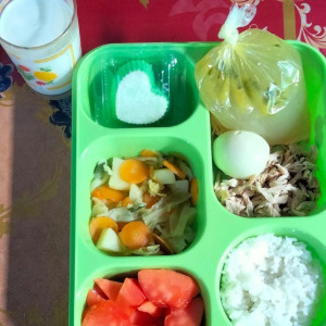 PMT Balita Tidak Naik Berat Badan