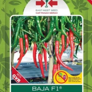 Benih Cabai Besar Baja F1