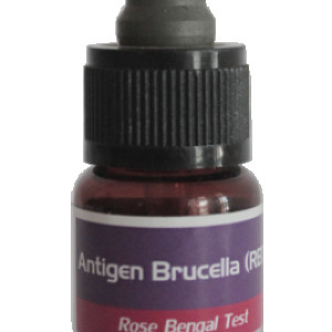 ANTIGEN BRUCELLA (RBT)