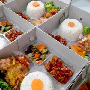 Nasi Kotak 2