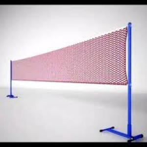 Net Badminton