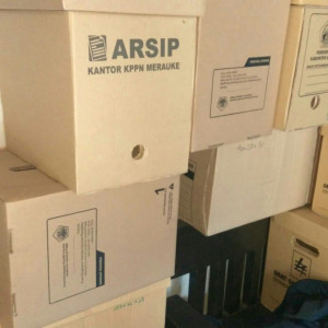 DUS ARSIP Tanpa Merek