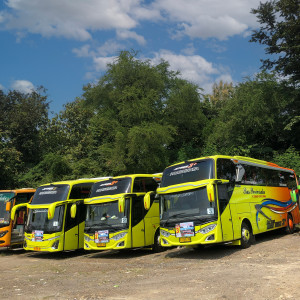 Sewa Kendaraan Bus