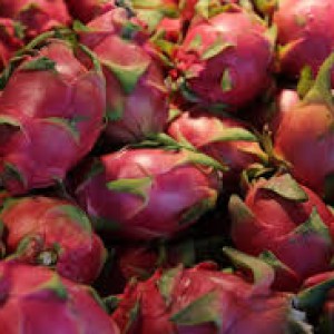 Buah Naga Merah