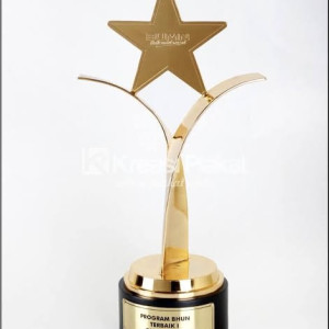 Piala Custom Kecil