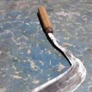 Sabit Rumput (Tanpa Merk)