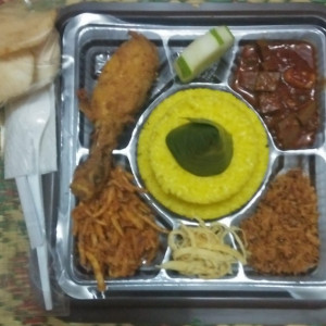 Aneka nasi dus