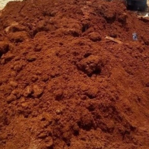 Tanah Tanam (Top Soil)