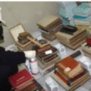 JASA ANTI RAYAP & FUMIGASI