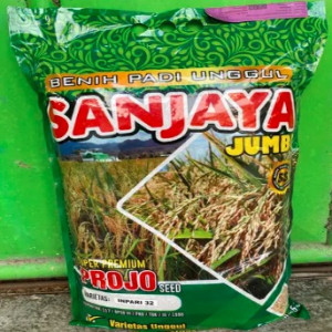 Benih Padi Unggul Nasional