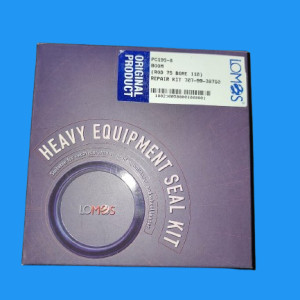 Seal Kit Boom PC195-8 LOMOS