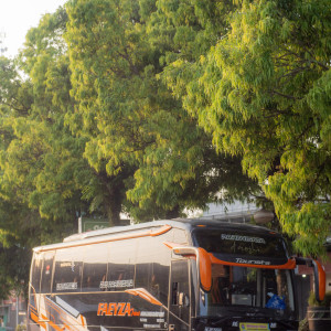 Medium Bus Pariwisata