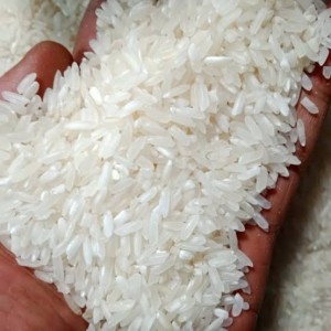 Beras eceran 13.500/Kg