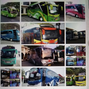 Sewa Bus Medium