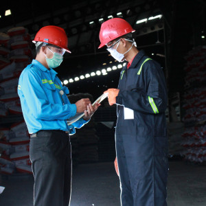 Jasa Pengendalian Hama