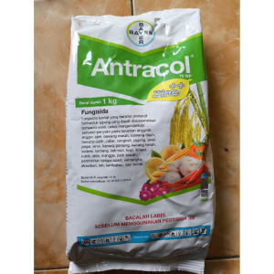 fungisida antracol