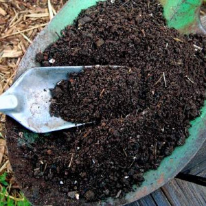 Paket Pelatihan Pembuatan Pupuk Organik dari Limbah/Sampah organik