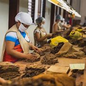 Jasa Penyelenggaraan Pertemuan/Rapat