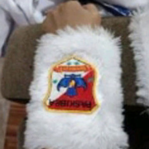 Marching Band kelompok Mayoret