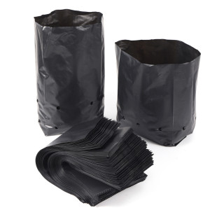 POLYBAG  10CM X 15CM