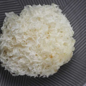 Jamur Putih Salju (Bungkus)