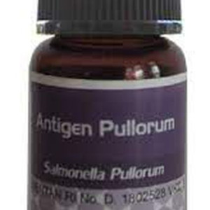 ANTIGEN PULLORUM