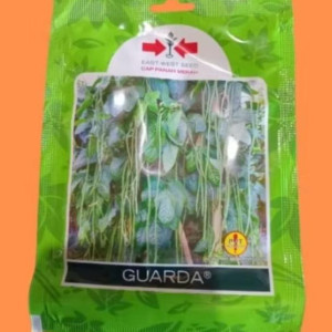 Benih Kacang Panjang