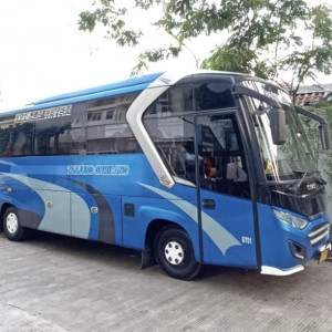 Medium Bus Isuzu nqr 71