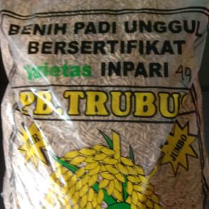 Benih Padi | benih inhibrida padi label putih