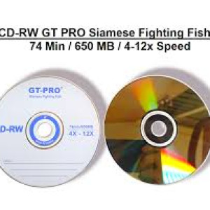 CD RW GT PRO 650MB