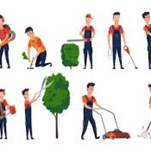 Pemeliharaan Taman dan Tanaman