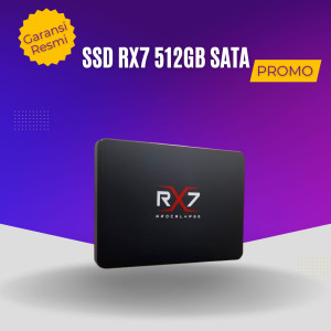Harddisk SSD 512GB 2,5 Inch Merk RX7