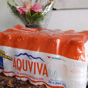 Aquviva 250 ml 1 pak