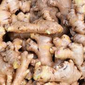 Jahe/ Curcuma