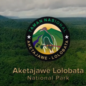 Iklan Pemerintah (9-12 menit)